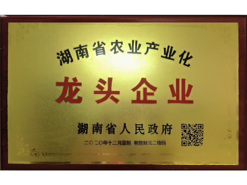 岳陽市漁之源食品有限公司,岳港漁都,洞庭魚港,散稱系列,田螺系列,臭豆腐加工，香豆腐加工，烤脖加工，魚仔,鴨排加工、雞丁加工代加工